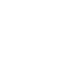 Therapeutic Exercise